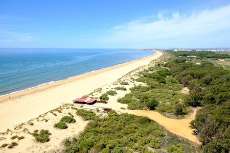Vista General Del Litoral Isleno