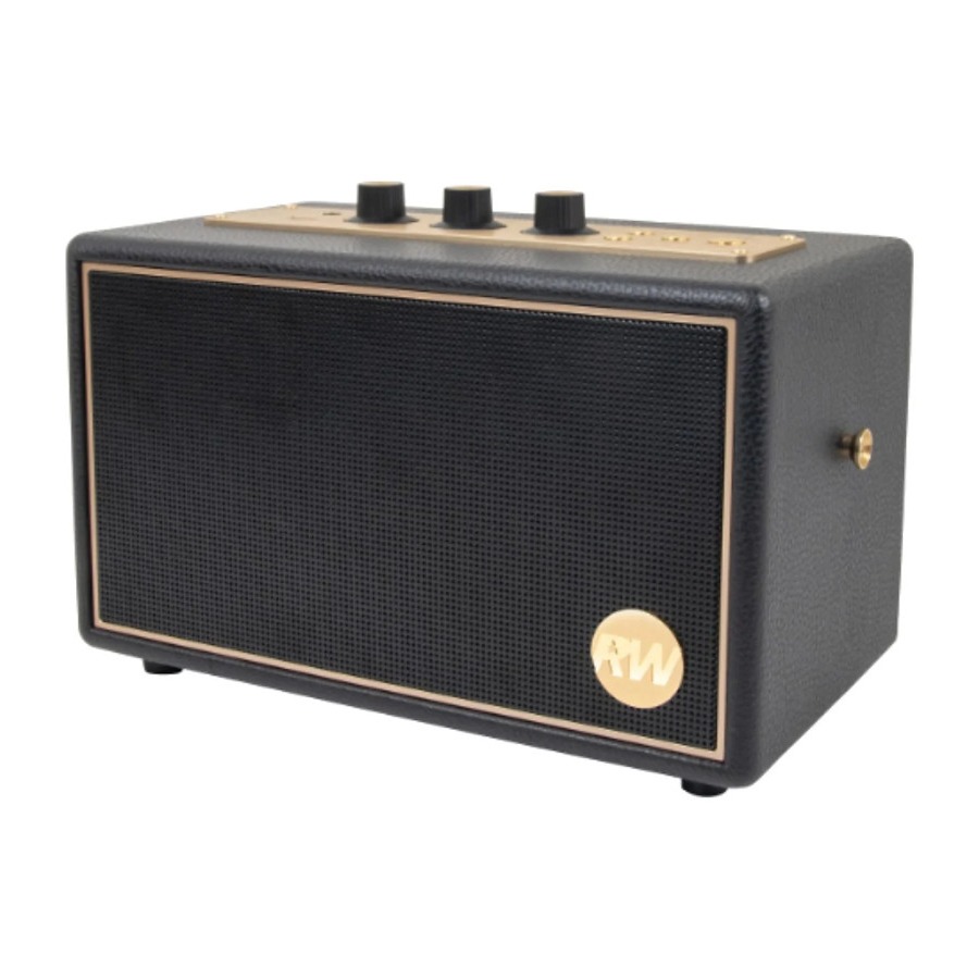 Peaq PPA 550-RW Retro