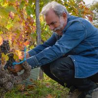 Máxima puntuación Parker a un Rioja. Luis Gutiérrez, experto en vinos: "Está lleno de energía, luz y potencia"