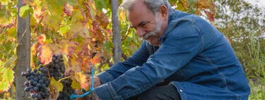 Máxima puntuación Parker a un Rioja. Luis Gutiérrez, experto en vinos: "Está lleno de energía, luz y potencia"