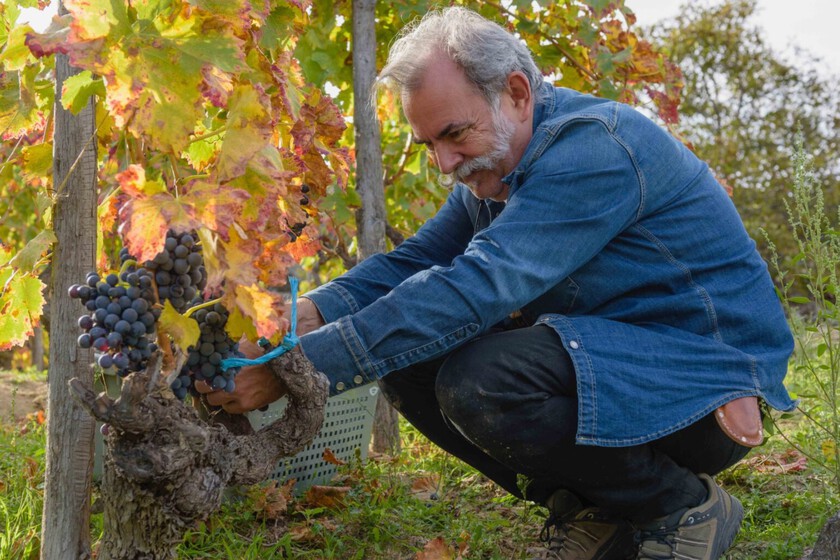 Luis Gutiérrez, experto en vinos, concede la máxima puntuación Parker a este Rioja: “Está lleno de energía, luz y potencia. Debería ser casi eterno”