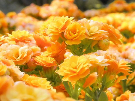 Photo 1750518877773 0e29ac779a41