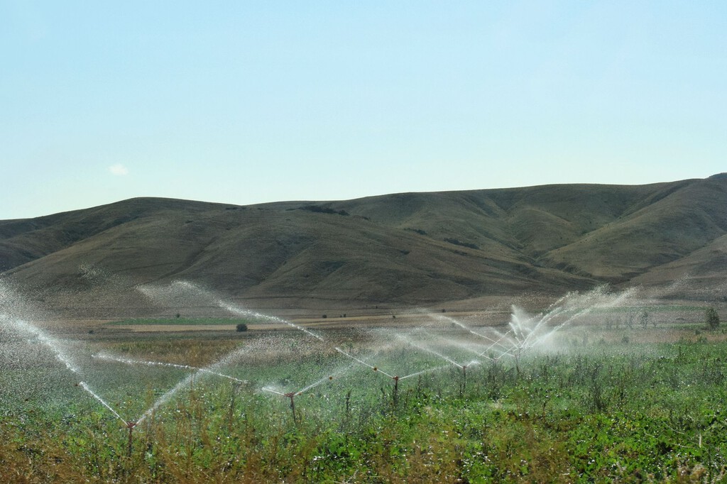 "Aquí se roba agua": la extracción ilegal de agua pone en riesgo seis acuíferos de gran riqueza ambiental en España