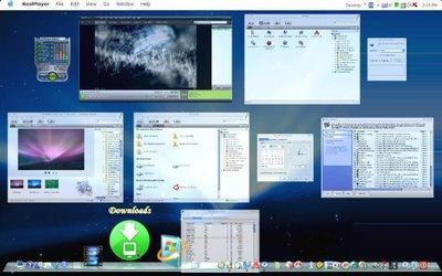 DExposE2, clon de Exposé para Windows