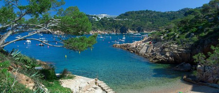 Cala Aiguablava. ©Julián Guisado - Turisme Costa Brava Pirineu de Girona