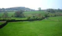 Un nuevo color: verde Yorkshire