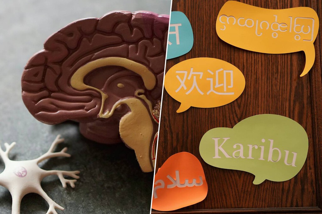 Para entrar en el mejor "gimnasio mental" del mundo no necesitas entrada: solo lengua