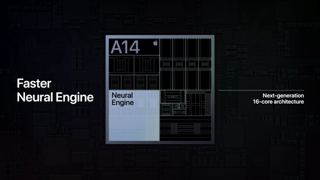 Motor Neuronal