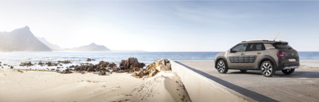 Citroën C4 Cactus Rip Curl