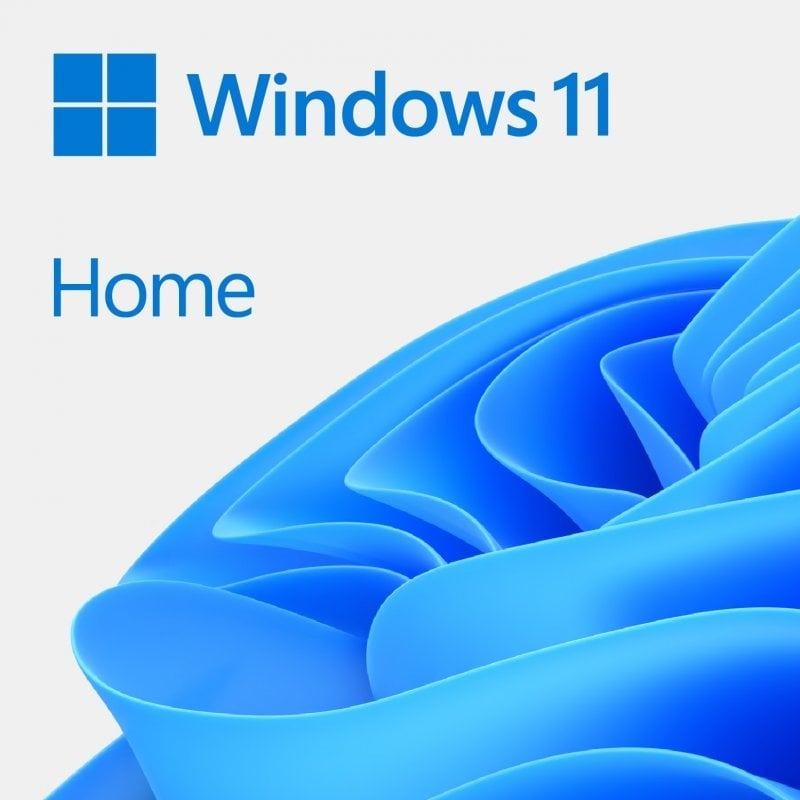 Microsoft Windows 11 Home Standard
