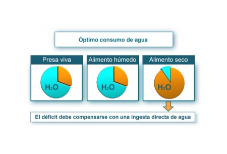 Consumo Agua