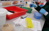 La biotecnológia, sumando valor a las pymes