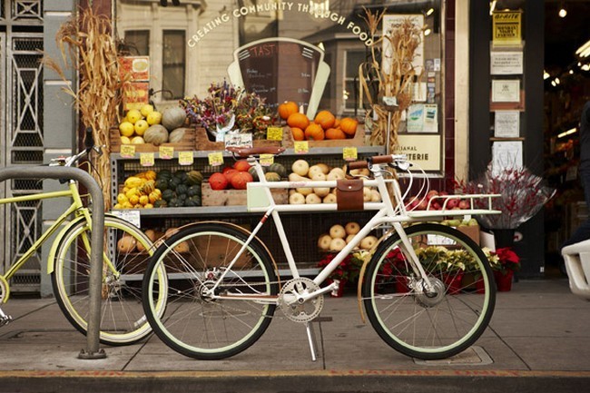 Faraday Porteur