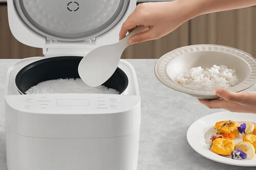 Xiaomi Smart Multifunctional Rice Cooker