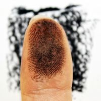 La IA descubrió algo sobre nuestras huellas dactilares que podría revolucionar nuestra seguridad e investigaciones 