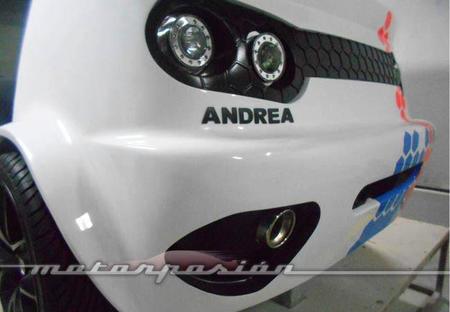 Pardo Cars Andrea
