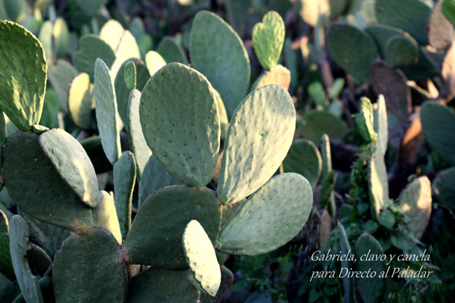 Más mexicano que el nopal