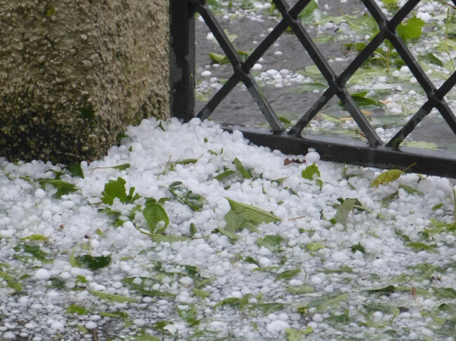 Granizo En Mexico