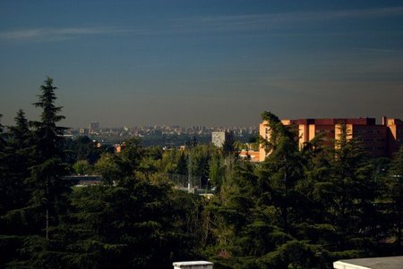 Contaminación Madrid Parque