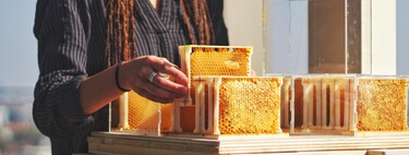 La miel es una alternativa al azúcar blanca, pero ¿es realmente saludable o no?