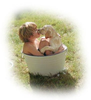 Regalos de Navidad: para 4, 5 y 6 años