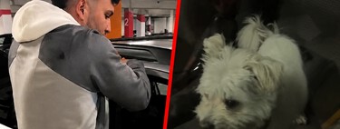 “La pago con gusto”: Omar Montes rompe la ventanilla de un coche para sacar a un perro encerrado dentro y acaba jugándose una multa de hasta 50.000 euros