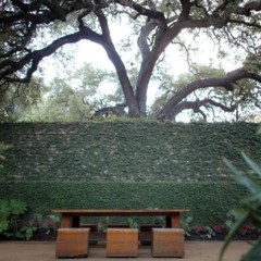 Foto 19 de 24 de la galería hotel-san-jose-austin en Trendencias Lifestyle