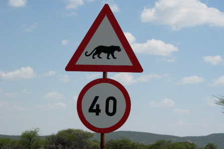 senal-trafico-namibia-pantera