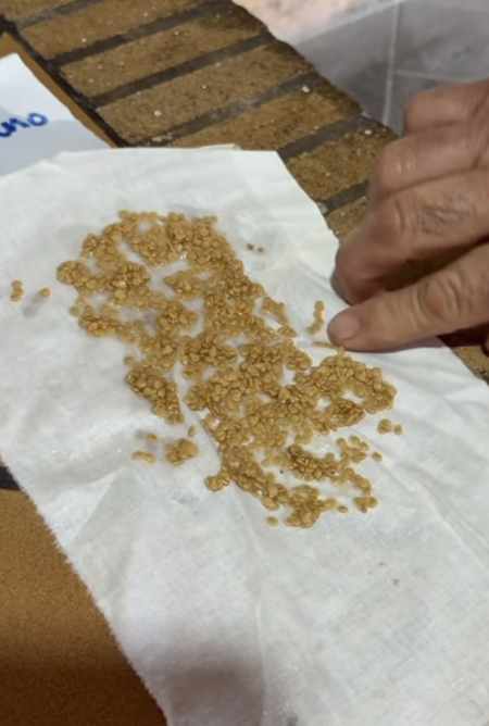 Captura De Pantalla 2025 08 21 A Las 16 03 33