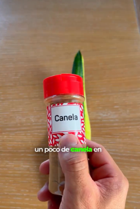 Captura De Pantalla 2025 11 19 100552