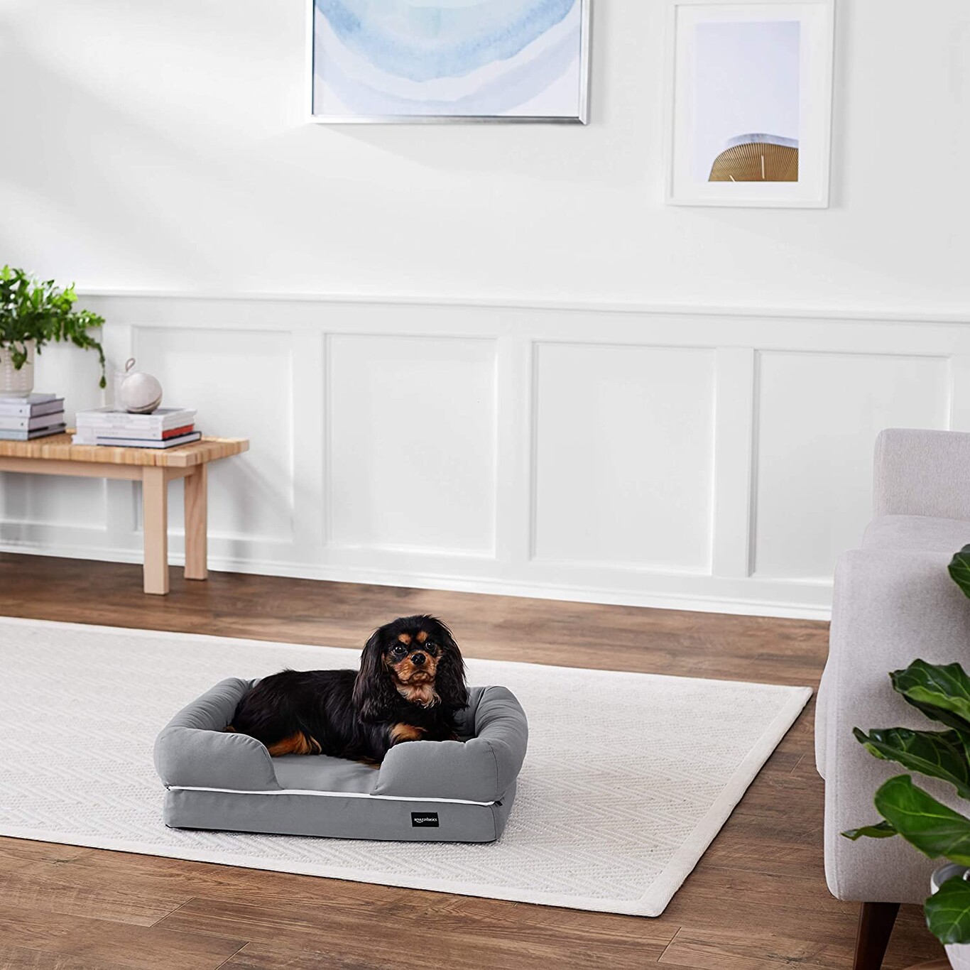 Las 7 mejores camas para mascotas de 2021