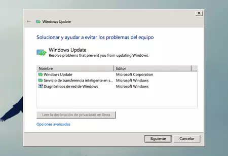 Windows Update