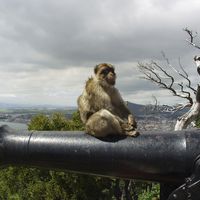 ¿Es el Brexit el final de Gibraltar como paraíso fiscal?