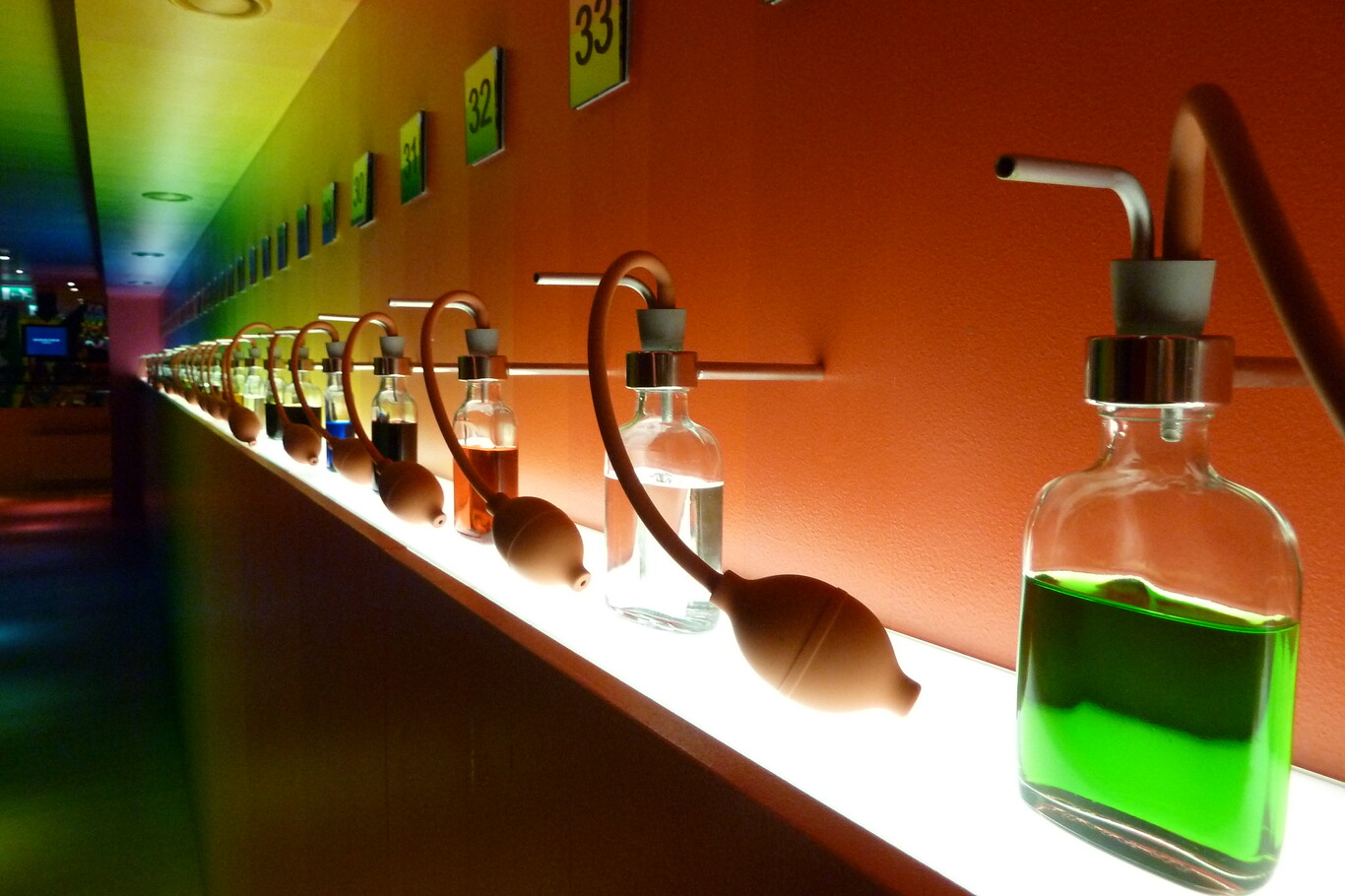 House of Bols, la destilería más antigua del mundo está en Ámsterdam