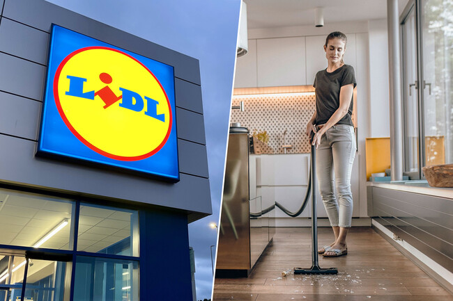 Lidl Karcher Original