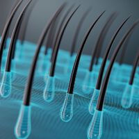 Achávamos que o cabelo apenas crescia, mas estávamos errados: ele é puxado para fora em espiral por uma engrenagem biológica 