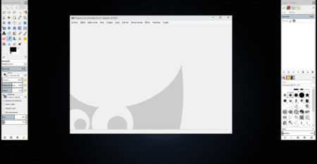 Gimp