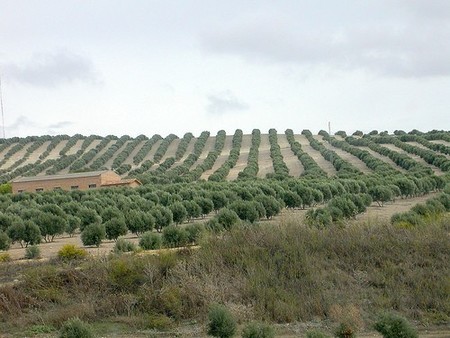 Cambios en las cotizaciones del régimen especial agrario