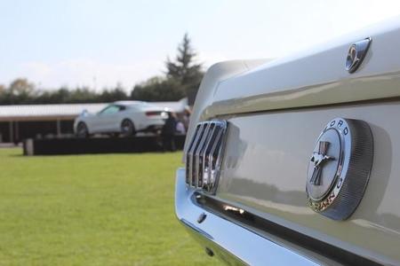 Mustang 50 aniversario