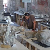 Cada vez hay más gente convencida de que estamos equivocados con Pompeya. Y cada vez tienen más argumentos de peso