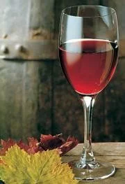 El Centro del Saber del Vino