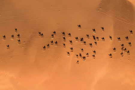 drone_awards_2019