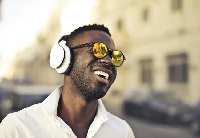 Sennheiser HD 450 BT