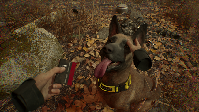 Blair Witch Oculus Rift Edition