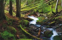 'Parques Nacionales de España', un libro para planear rutas naturales