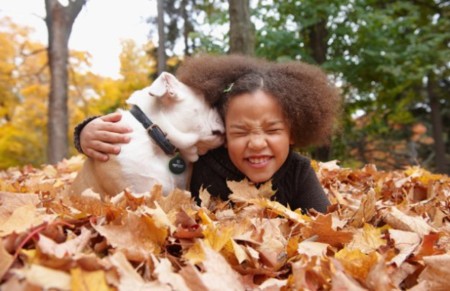 PawScout, el gadget con el que encontrarás a tu mascota perdida