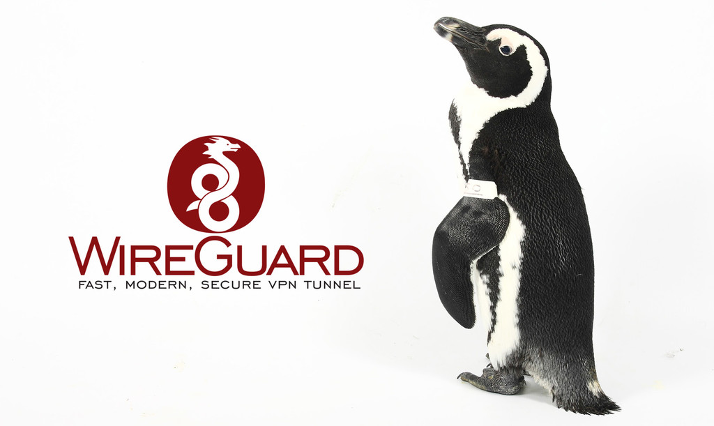 WireGuard, el VPN open source admirado por Linus Torvalds será parte del kernel de Linux