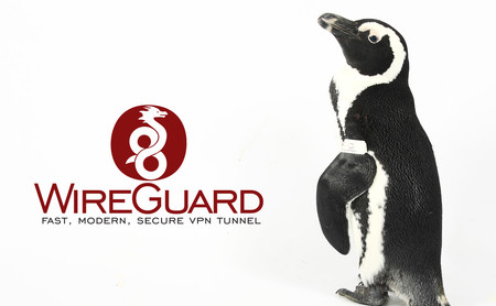 WireGuard, el VPN open source admirado por Linus Torvalds, será parte del kernel de Linux