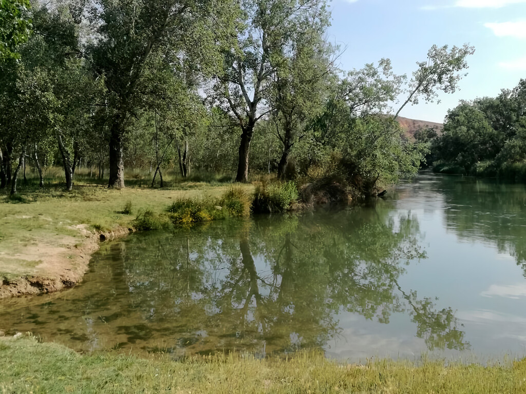 A una hora de Madrid: la playa de interior escondida con parking, zonas de sombra y hasta bar para escapar del calor