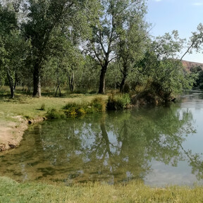 A una hora de Madrid: la playa de interior escondida con parking, zonas de sombra y hasta bar para escapar del calor 